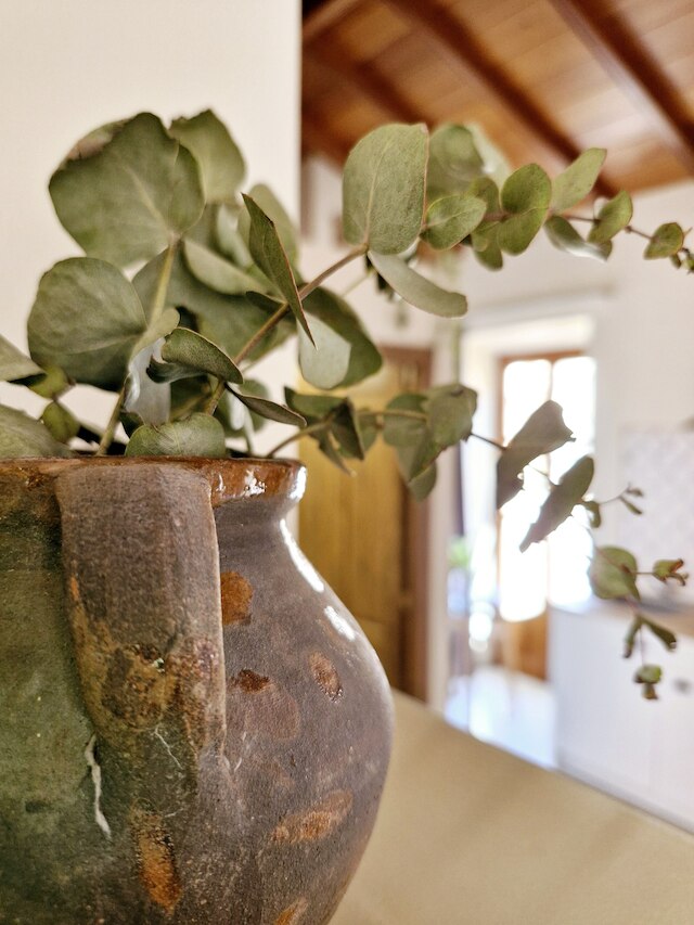 アパルタメントス・ビータ・センター