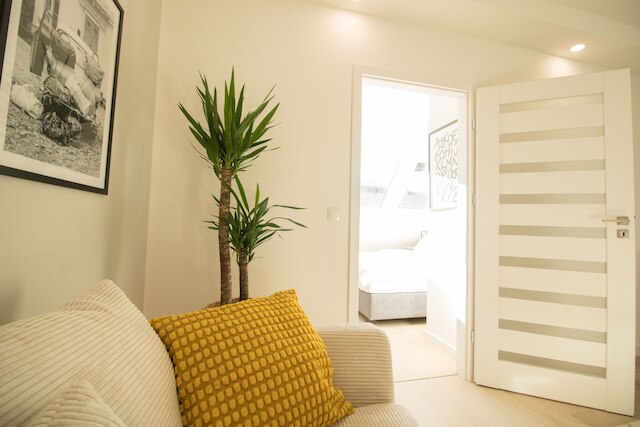 ヴィエンナのハートのラグジュアリーアパート