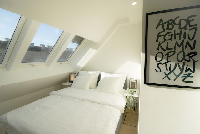 ヴィエンナのハートのラグジュアリーアパート