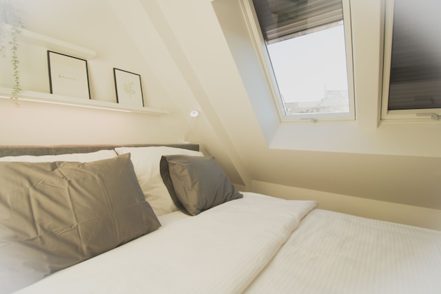 ラグジュアリーアパートメントウィーン