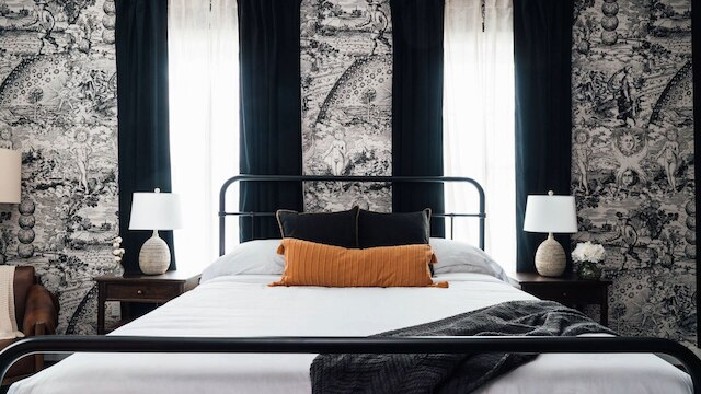 ザ ペインテッド レディ