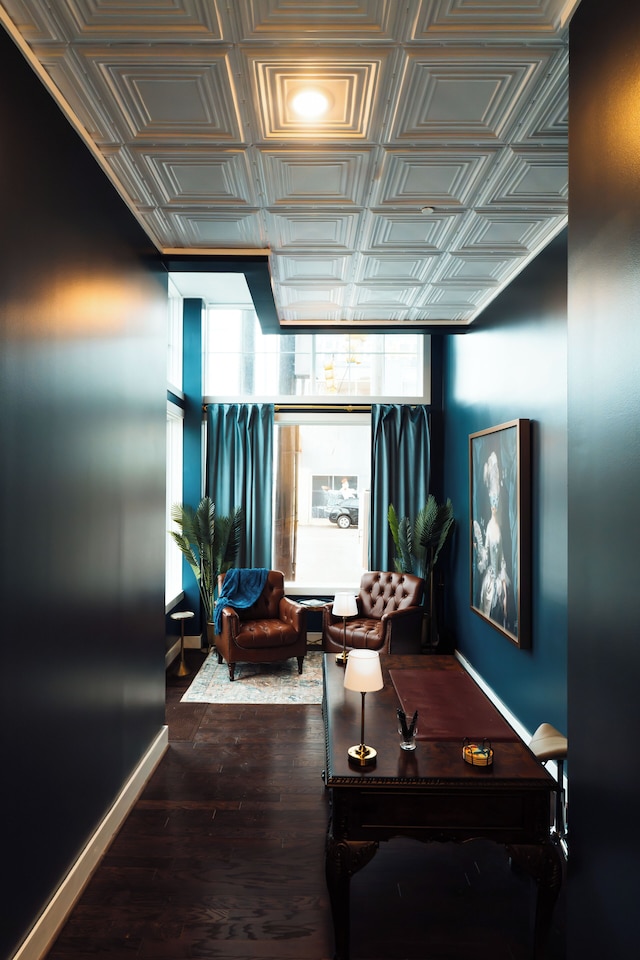 ザ ペインテッド レディ