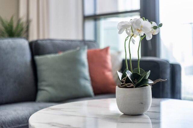 シルクハウス ウィズ ダイレクト アクセス トゥ ザビール モール