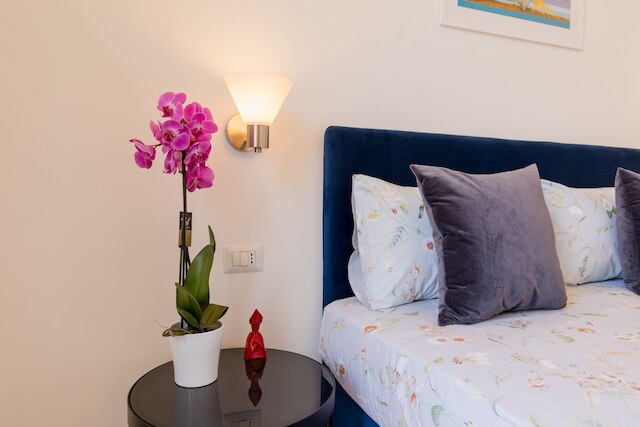 ブルーパルテノペスイート