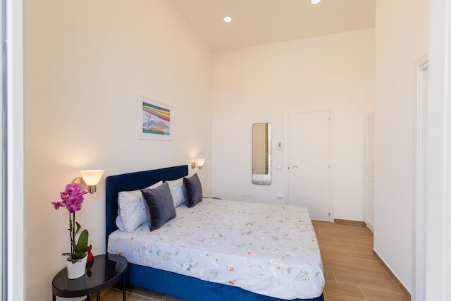 ブルーパルテノペスイート