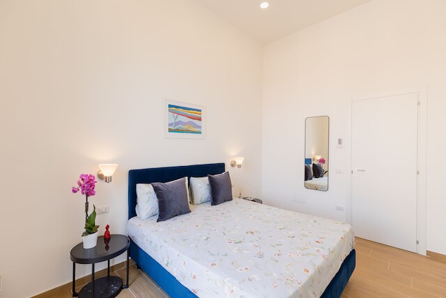 ブルーパルテノペスイート