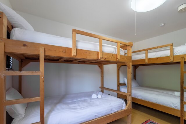 シャレームラサキ