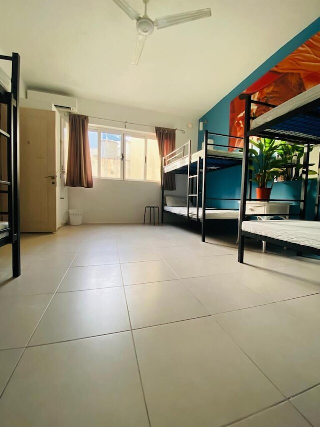 ペースビル・インターナショナル・ハウス