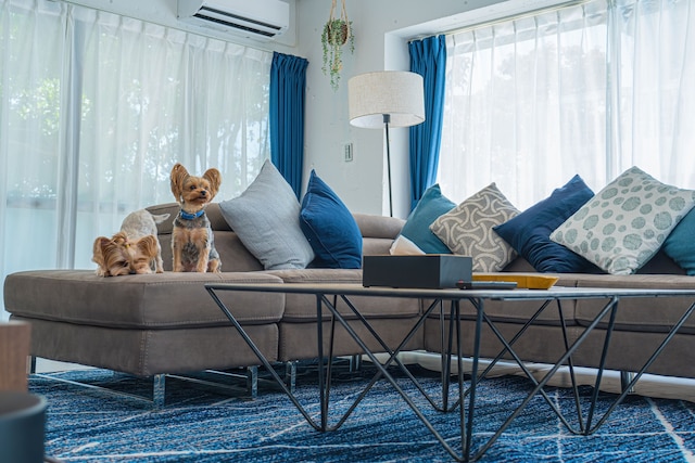 Summer Palace Miyako