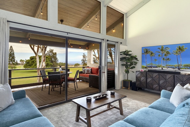 ハレ カメアロハ