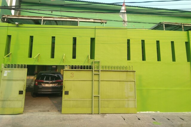 OYO Life高い壁の緑のコスト