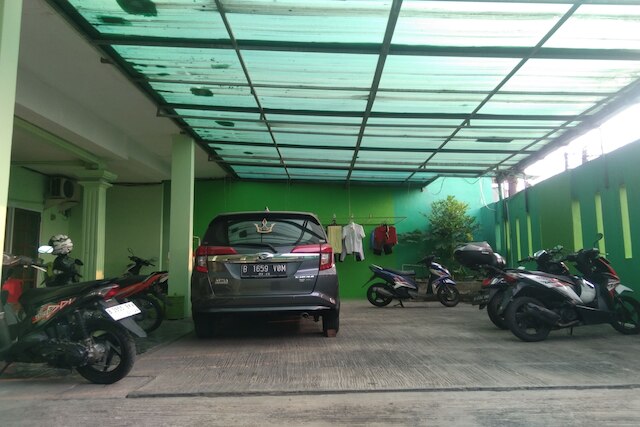 OYO Life高い壁の緑のコスト