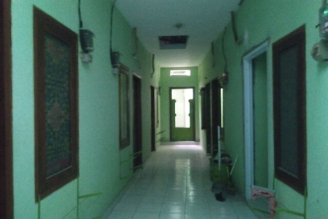 OYO Life高い壁の緑のコスト