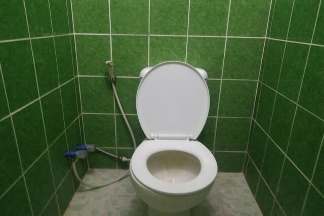 OYO Life高い壁の緑のコスト