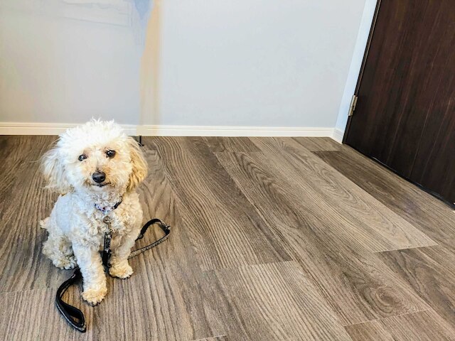 B/C APARTMENT 浅草花園通 レンタカー/サウナ付きホテル