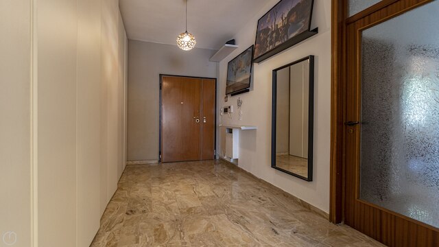 ボニンセーニャ  1