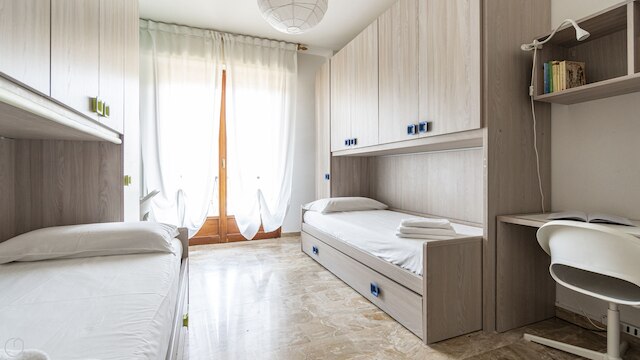 ボニンセーニャ  1