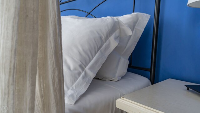 ボニンセーニャ  1