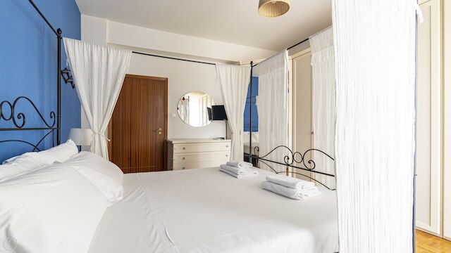 ボニンセーニャ  1