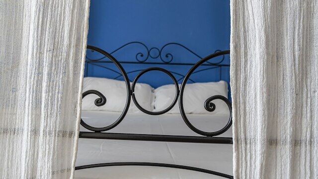 ボニンセーニャ  1