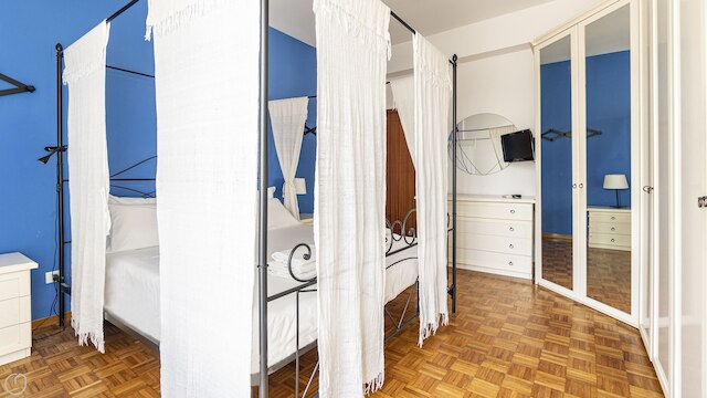 ボニンセーニャ  1