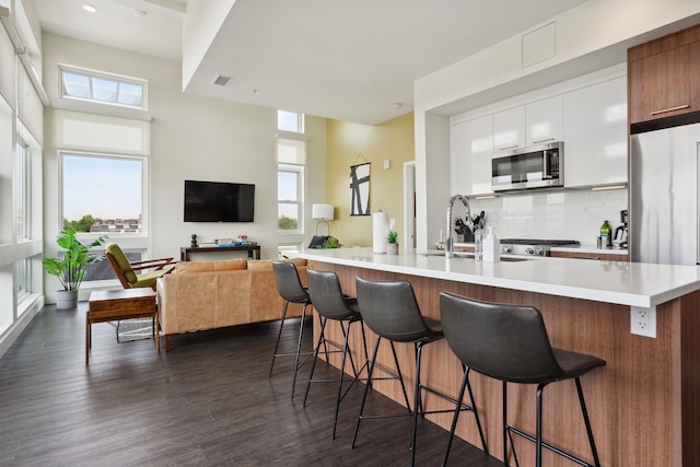 スカイライン ペントハウス | エスパディン ロハイ