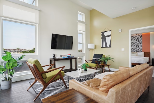 スカイライン ペントハウス | エスパディン ロハイ