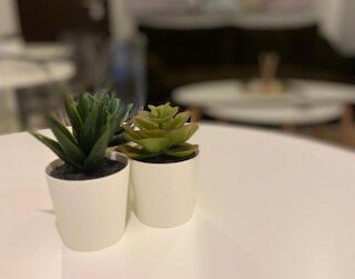 メデューサ ブティック