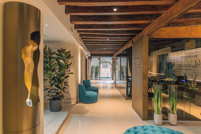 パラゼット マイ ヴェニス