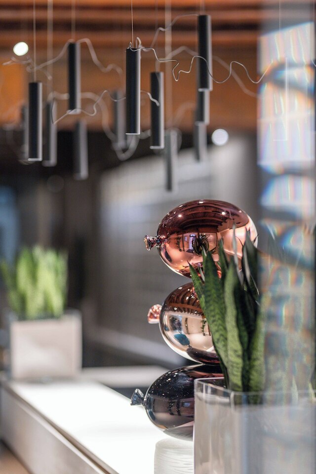 パラゼット マイ ヴェニス