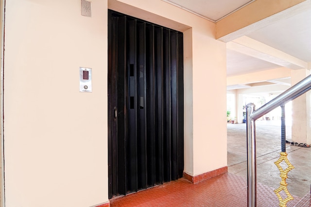 ファブエクスプレス シリーシルーニワス