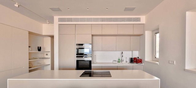 ハヤルコン・エメロード