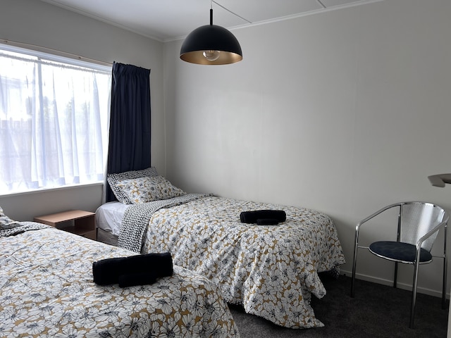 ギンコ&ウォルナット