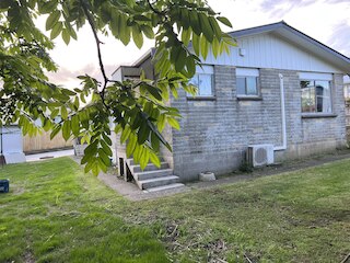 ギンコ&ウォルナット