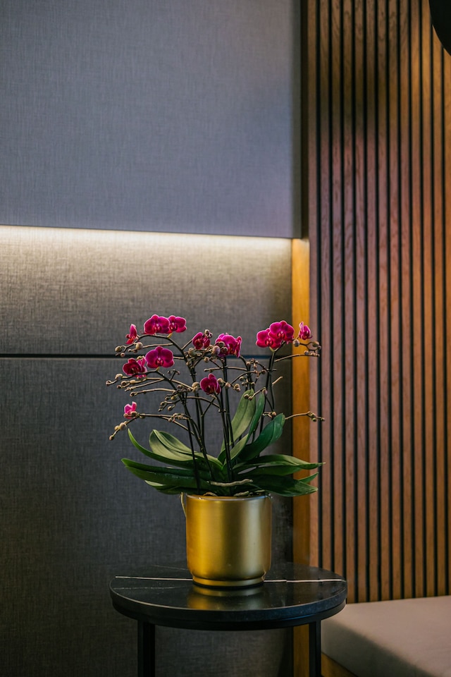 ラディソンコレクションホテル、ローマアンティカ