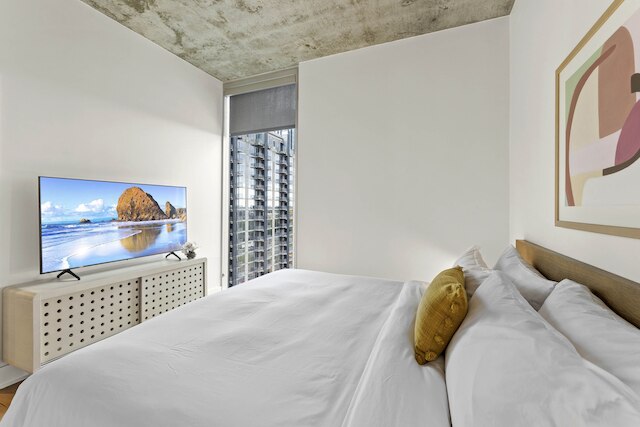 ラグジュアリー・ダウンタウン・ハイライズ