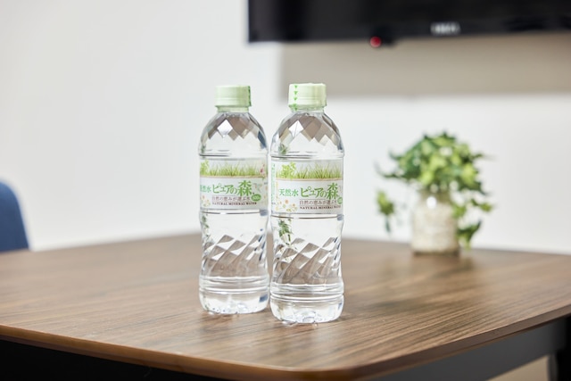 ESLEAD HOTEL Osaka Ebisu