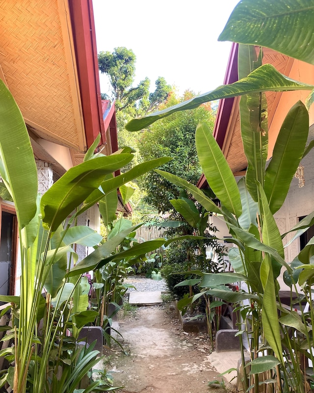 ジャングルホステルエルニド