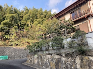 ピアノ ゲスト ハウス