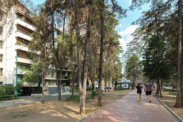 ホラシオ1411バイ・ナヤ・ホームズ