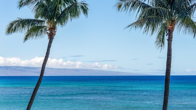 ラハイナのバレイ・アイル304