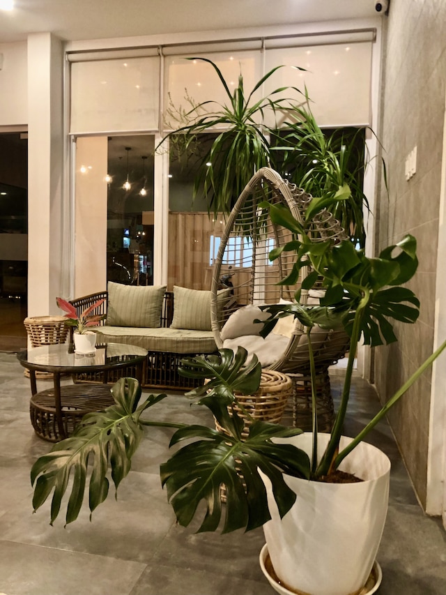 バンブー スイーツ