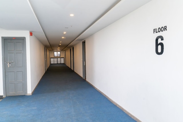 テラッゾスーツ