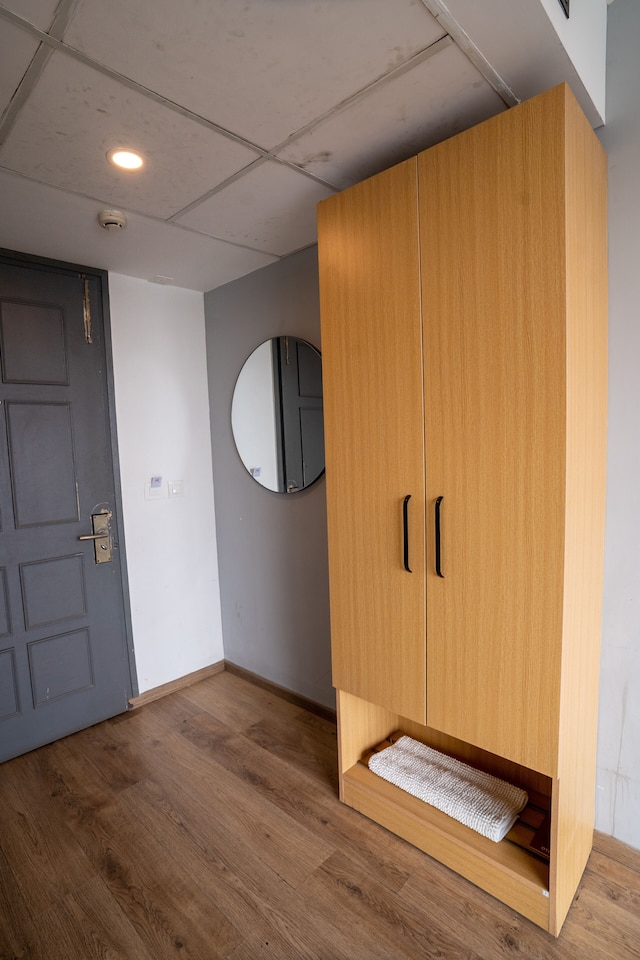 テラッゾスーツ