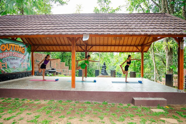 バイロン ジャングル リゾート