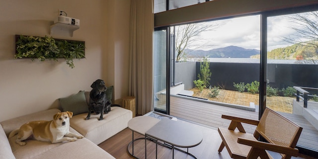 Rakuten STAY FUJIMI TERRACE 箱根芦ノ湖　