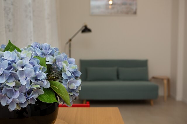 ボローニャ.ホームズ