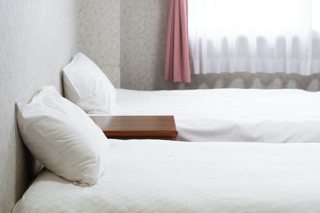 大和西大寺HOTEL SHINDAI