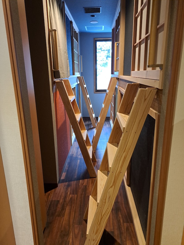 大山ベースキャンプ