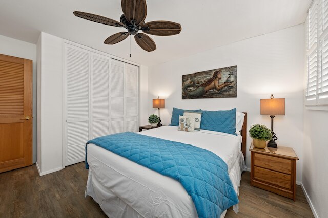 ワイルクのミロワイ302